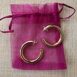 BaubleBar Chrissey Hoop Earrings